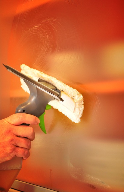 glass, to clean, clean, water, to wipe, window, building, window cleaning, job, window cleaner, to wash, service, cleanser, hand, cleanliness, cleaning products, nature, household, hygiene, house cleaning, hands